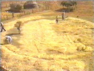 CAMPO (87)  LABRANZA